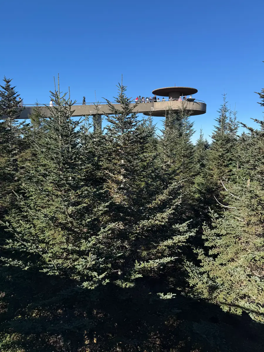 Clingmans Dome observation tower rising above evergreen trees under a clear blue sky