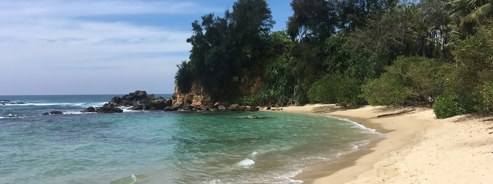 Quiet tropical beach with palm trees and gentle waves