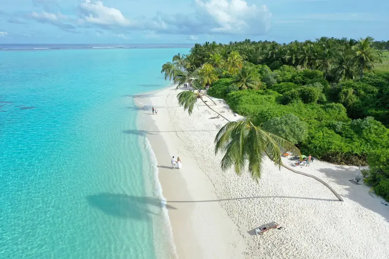 White-sand beach with palm trees and clear turquoise water
