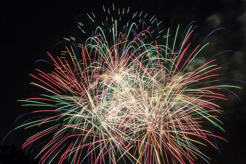 Colorful fireworks bursting in the night sky